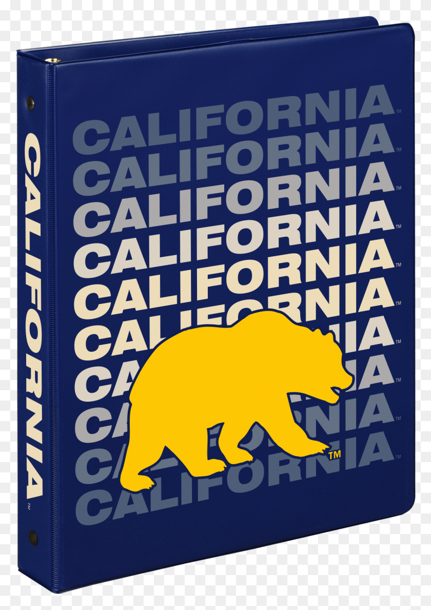 1190x1722 University Of California Berkeley 1 Binder With Bear Boar, Text, Poster, Advertisement HD PNG Download