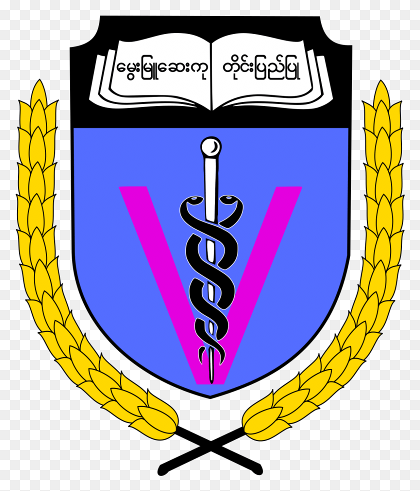 1147x1357 University Of Medicine Magway, Armor, Shield, Symbol HD PNG Download