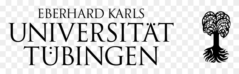 1437x369 La Universidad De Tbingen, Grey, World Of Warcraft Hd Png