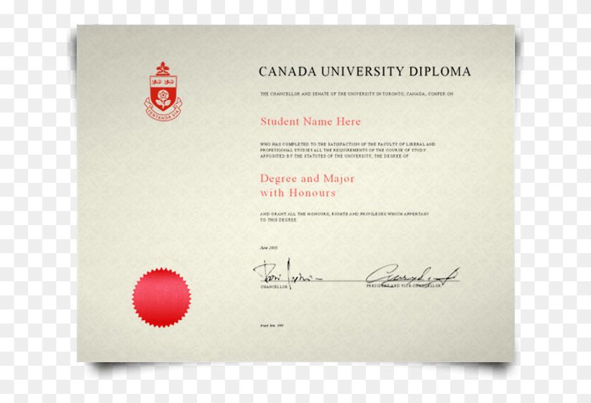 651x513 University Of Toronto Fake, Text, Diploma, Document HD PNG Download