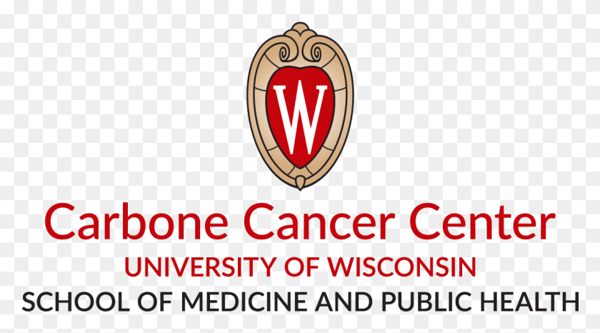 1120x583 University Of Wisconsin Carbone Cancer Center University Of Wisconsin Madison, Armor, Logo, Symbol HD PNG Download