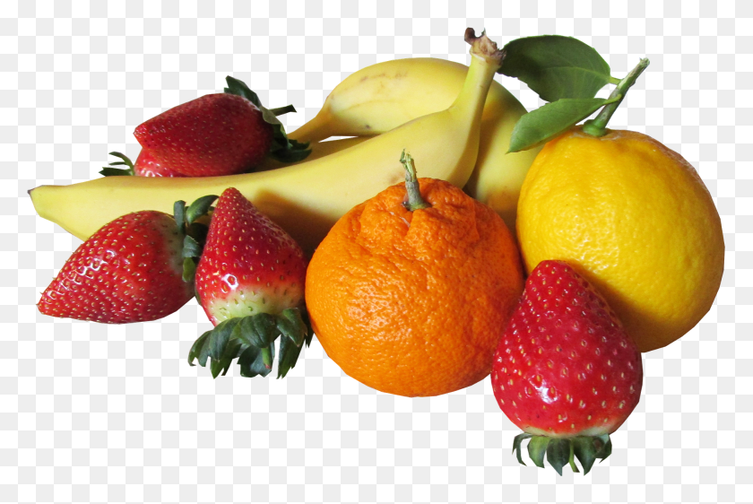 1558x1004 Unlike In Other Parts Of The World In Israel Fruits Israel Fruits, Plant, Strawberry, Fruit HD PNG Download