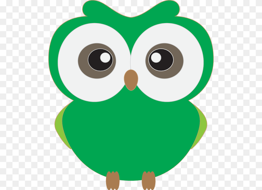 Unlimited Commercial Use, Animal, Bird, Owl Clipart PNG