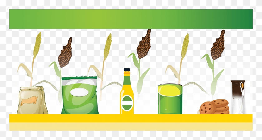 2480x1240 Unlocking The Commercial Potential Of New Sorghum And Illustration, Bottle, Plant, Beverage HD PNG Download