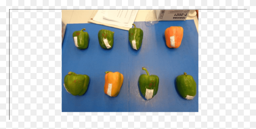 850x397 Unpackaged Green Bell Peppers Stored At 10c During Green Bell Pepper, Plant, Food, Vegetable HD PNG Download