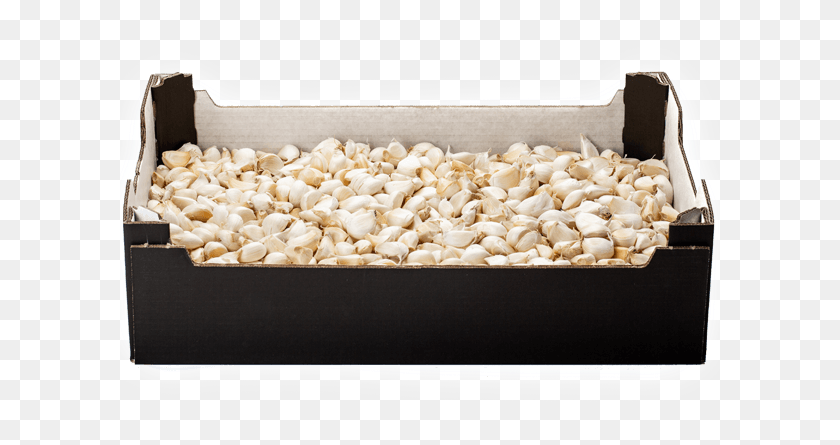 601x385 Unpeeled Garlic Cloves 1850 Pieces In A Box Earrings, Plant, Food, Vegetable HD PNG Download