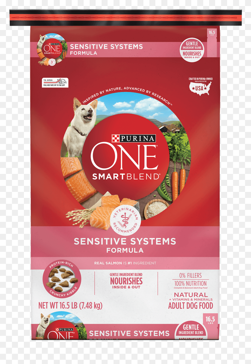 1561x2310 Descargar Png / Ipets Pet619S Impermeable Amp Recargable Perro Purina One Salmon Dog, Flyer, Poster, Papel Hd Png