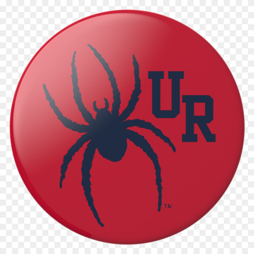 823x823 Ur Spiders Popsockets Richmond Spiders, Animal, Invertebrate, Insect HD PNG Download