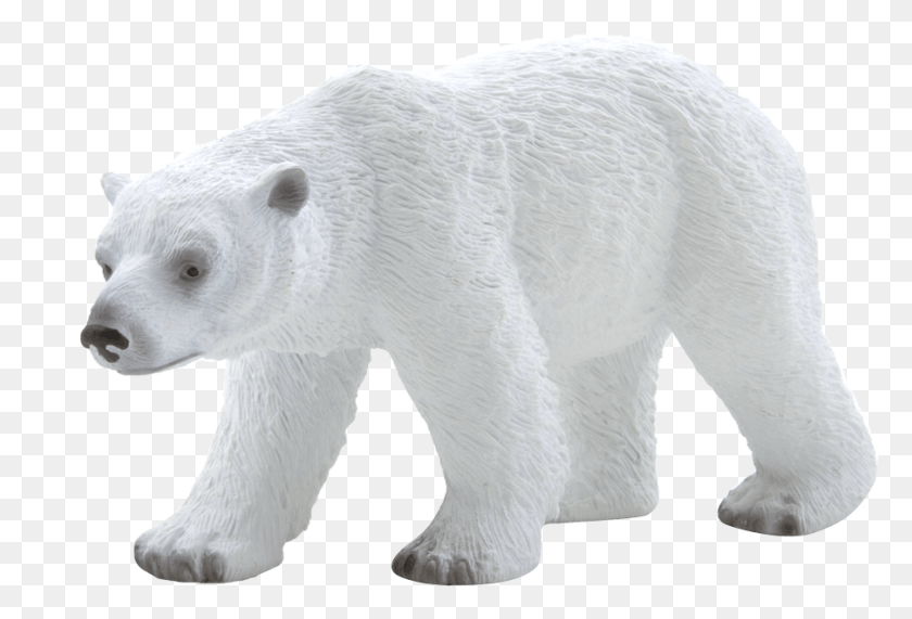904x593 Urso Polar De Brinquedo, Bear, Wildlife, Mammal HD PNG Download