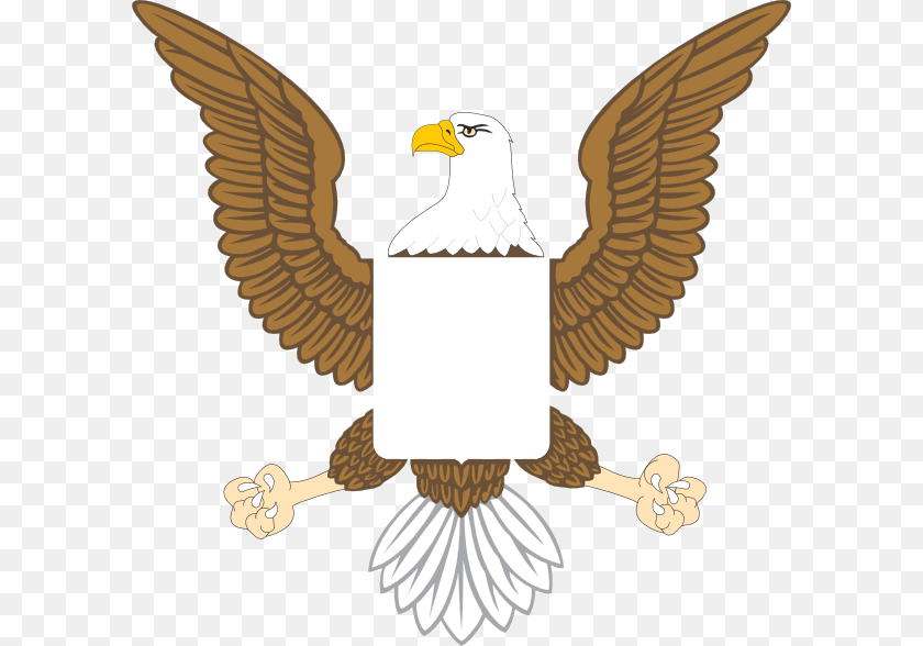 600x588 Us Eagle Flying American Eagle Animal, Bird, Bald Eagle Clipart PNG