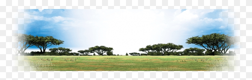 1700x450 Us Feature Africa2 Oak, Grass, Plant, Outdoors HD PNG Download