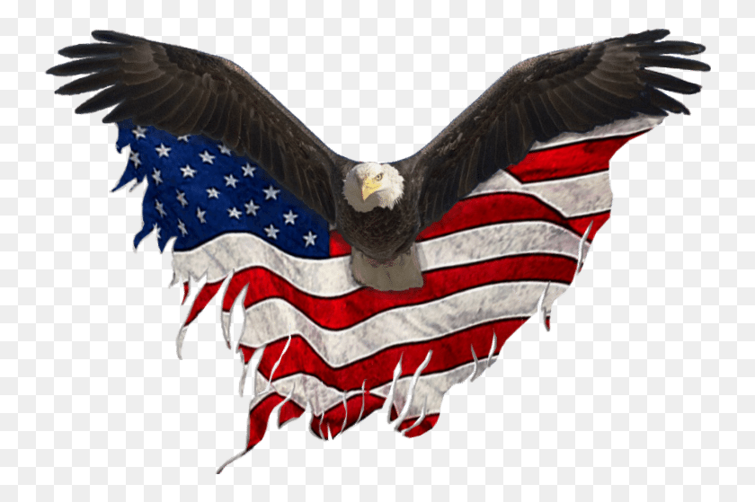 743x499 Usa Eagle Eagle United States, Flag, Symbol, Bird HD PNG Download