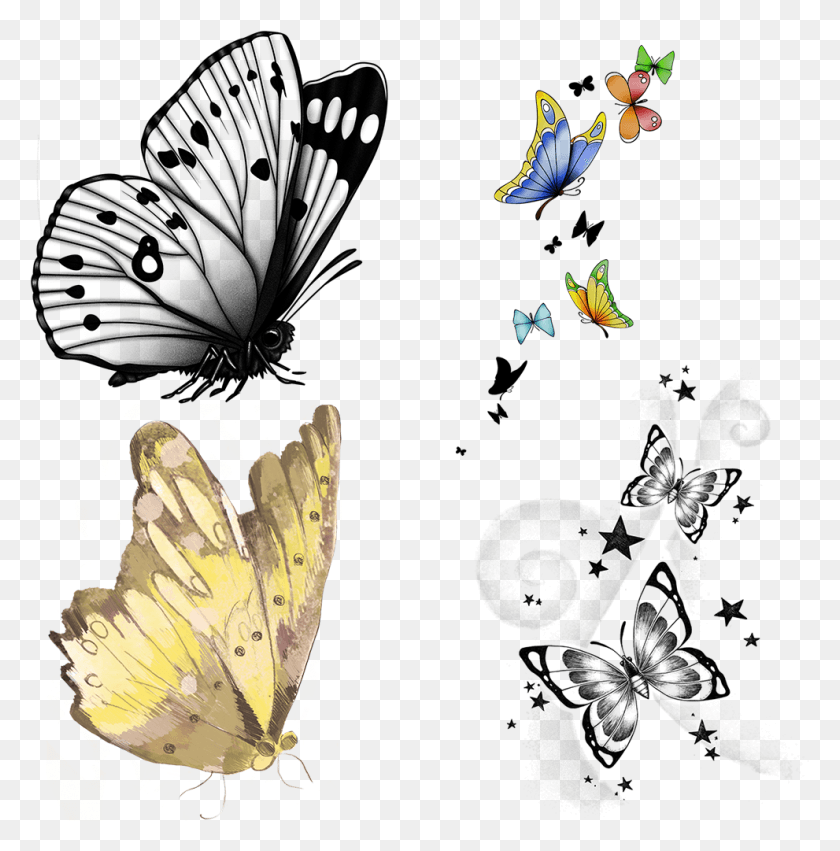 991x1005 Use These Sample Clipart Items From The Butterfly Clip Butterflies Picsart, Insect, Invertebrate, Animal HD PNG Download