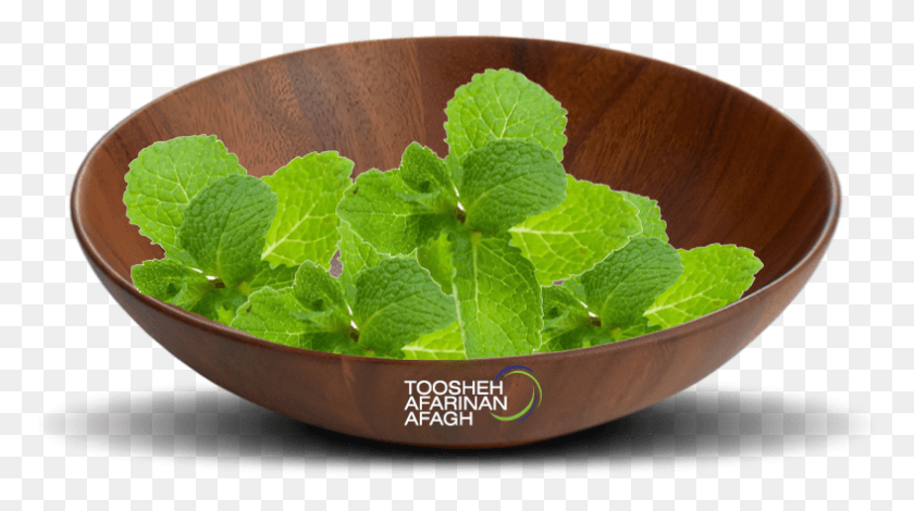 787x414 Used As Blended Massage Oil Or Diluted In The Bath Bowl, Potted Plant, Plant, Vase Descargar Hd Png