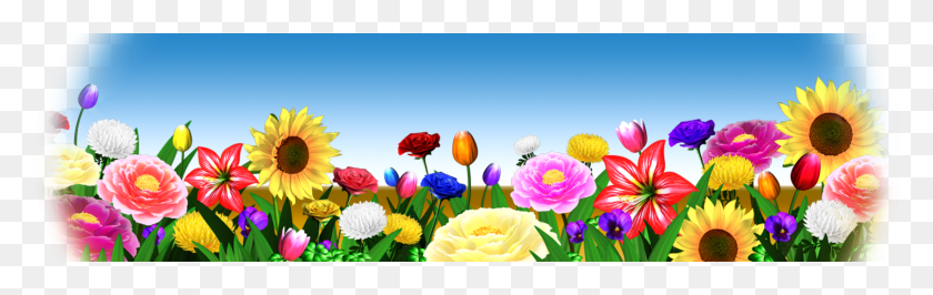 1700x450 Usf Роза Фон Подсолнечник, Весна, Растение, Цветок Hd Png Скачать