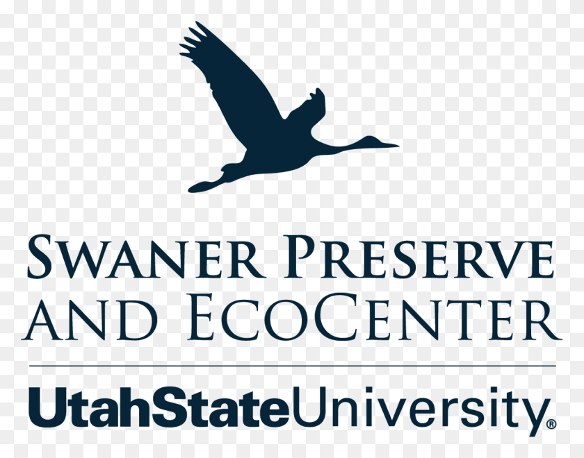 1137x876 La Universidad Estatal De Utah Png / Pájaro, Animal, Volar Hd Png