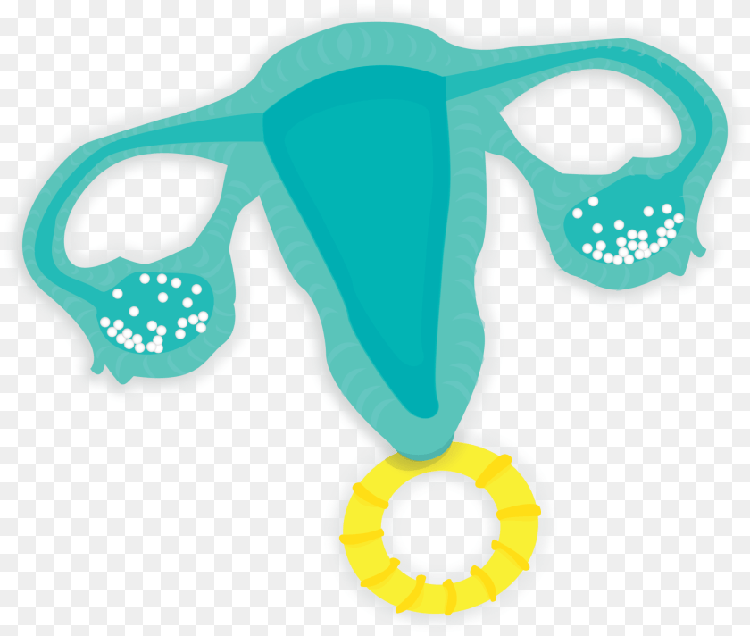2362x2003 Uterus Rattle Clipart Nature, Outdoors, Sea, Water Sticker PNG