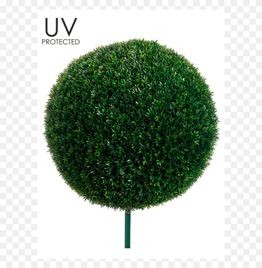 601x801 Uv Protected Tea Leaf Ball With 10 Metal Pole, Bush, Vegetation, Plant HD PNG Download