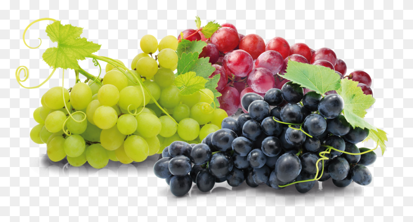 1225x616 Uva, Plant, Grapes, Fruit HD PNG Download