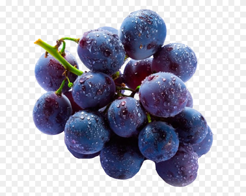 621x612 Uva Grape, Plant, Grapes, Fruit HD PNG Download