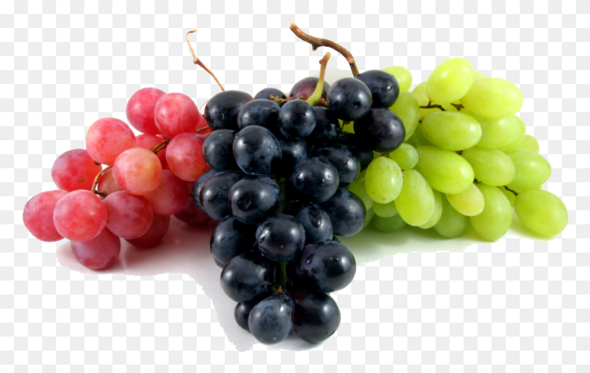 783x474 Uva Imagenes De Frutas Uvas, Plant, Grapes, Fruit HD PNG Download