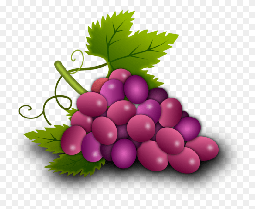 961x777 Uvas Vector Imagenes De Uvas De Primera Comunion, Plant, Grapes, Fruit HD PNG Download
