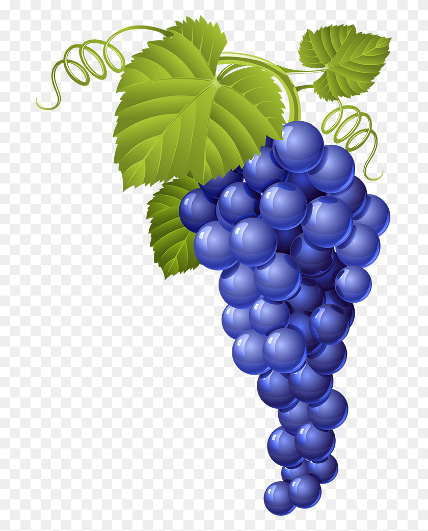700x982 Uvassolas Grapes Vector Free, Plant, Fruit, Food HD PNG Download