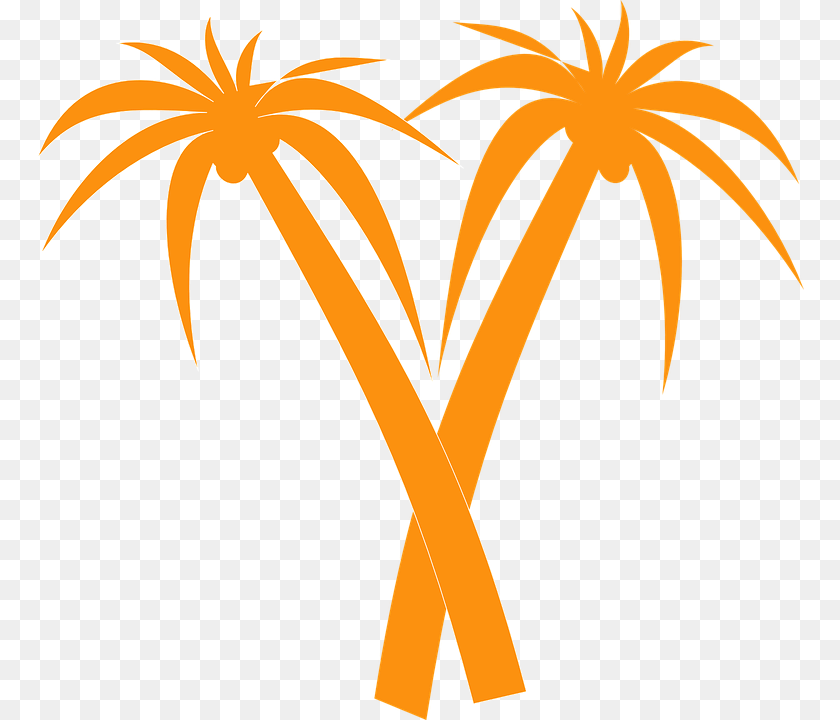 767x720 V Shaped Palm Tree, Palm Tree, Plant, Flower, Animal Sticker PNG