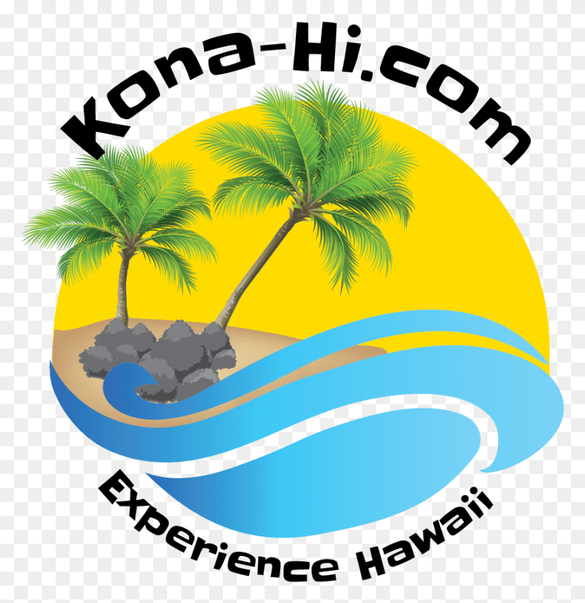 863x891 Vacation In Hawaii Graphic Design, Palm Tree, Tree, Plant HD PNG Download