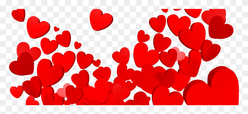 1902x801 День Святого Валентина Сердце Бесплатно Валентинки Сердечки, Лепесток, Цветок, Растение Hd Png Скачать