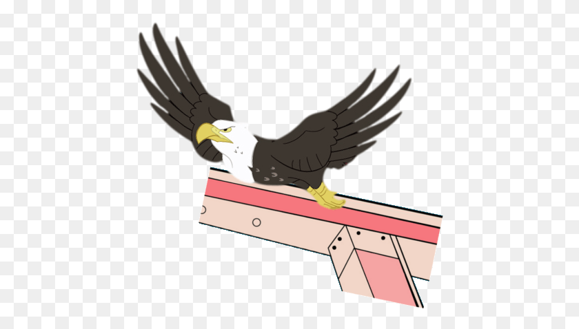 447x418 Valinhya Bald Eagle Eagle Edit Pinkie Apple Pie Bald Eagle, Bird, Animal, Flying HD PNG Download