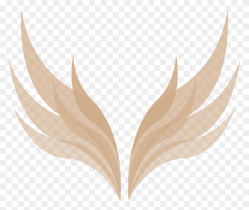 842x702 Valkyrie Wings Valkyrie Club, Light, Symbol, Logo HD PNG Download