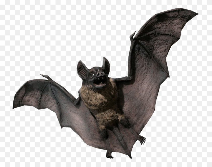 743x600 Vampire Statue Vampire Bat 3d Model, Wildlife, Animal, Mammal HD PNG Download