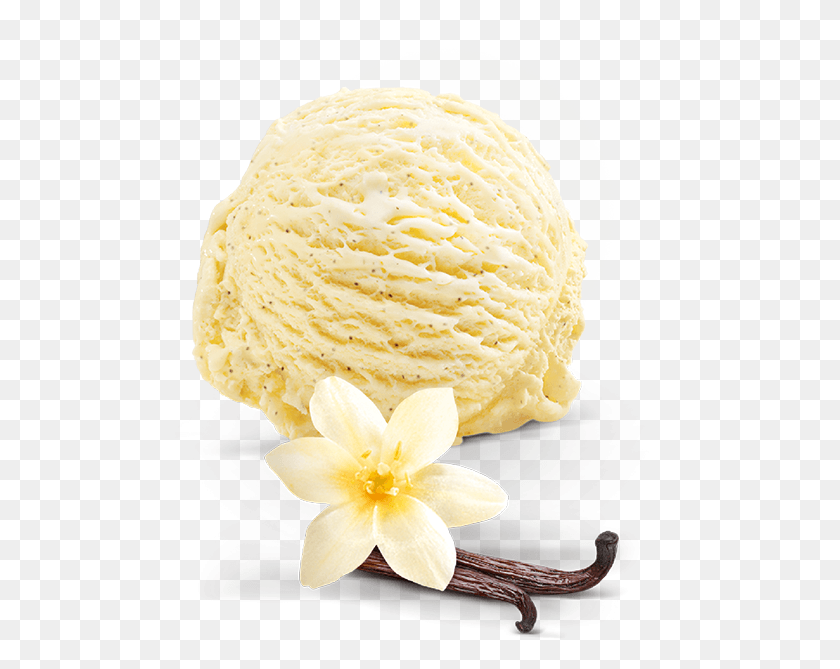 552x609 Vanilla Ice Cream Pic Vanilleeis, Cream, Dessert, Food HD PNG Download