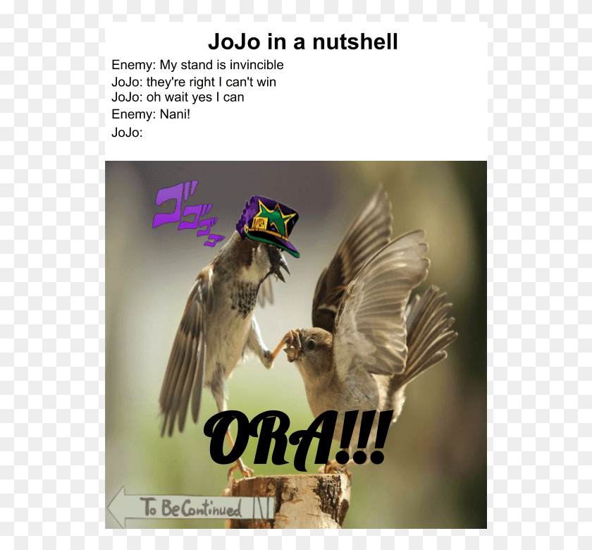 544x720 Various Partsbeing At Part 7 I Can Confirm My Stand Is Invincible Meme, Bird, Animal, Sparrow HD PNG Download