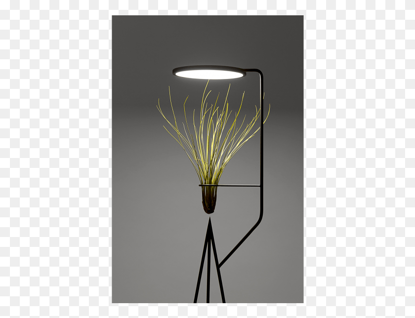 390x584 Vase, Lighting, Lamp, Interior Design HD PNG Download