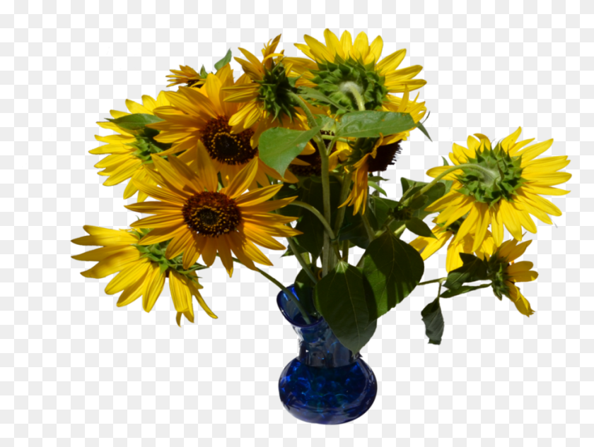 910x669 Vase Clipart Sunflower Vase Sunflower Vase, Plant, Flower, Blossom HD PNG Download