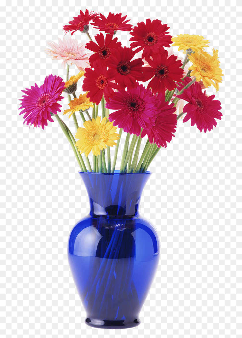 717x1112 Ваза Ромашки В Вазе, Растение, Цветок, Цветение Png Скачать