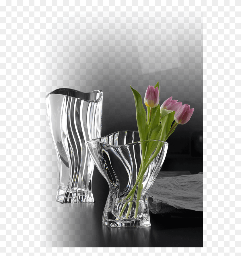 576x832 Vases Vaso Nachtmann Bossa Nova, Plant, Vase, Jar HD PNG Download
