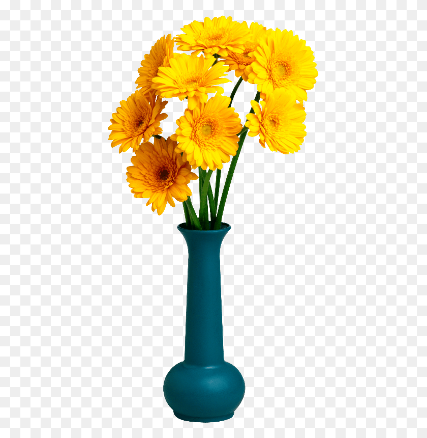 415x800 Вазо Флора Изображения Де Флорерос, Растение, Цветок, Цветение Png Скачать