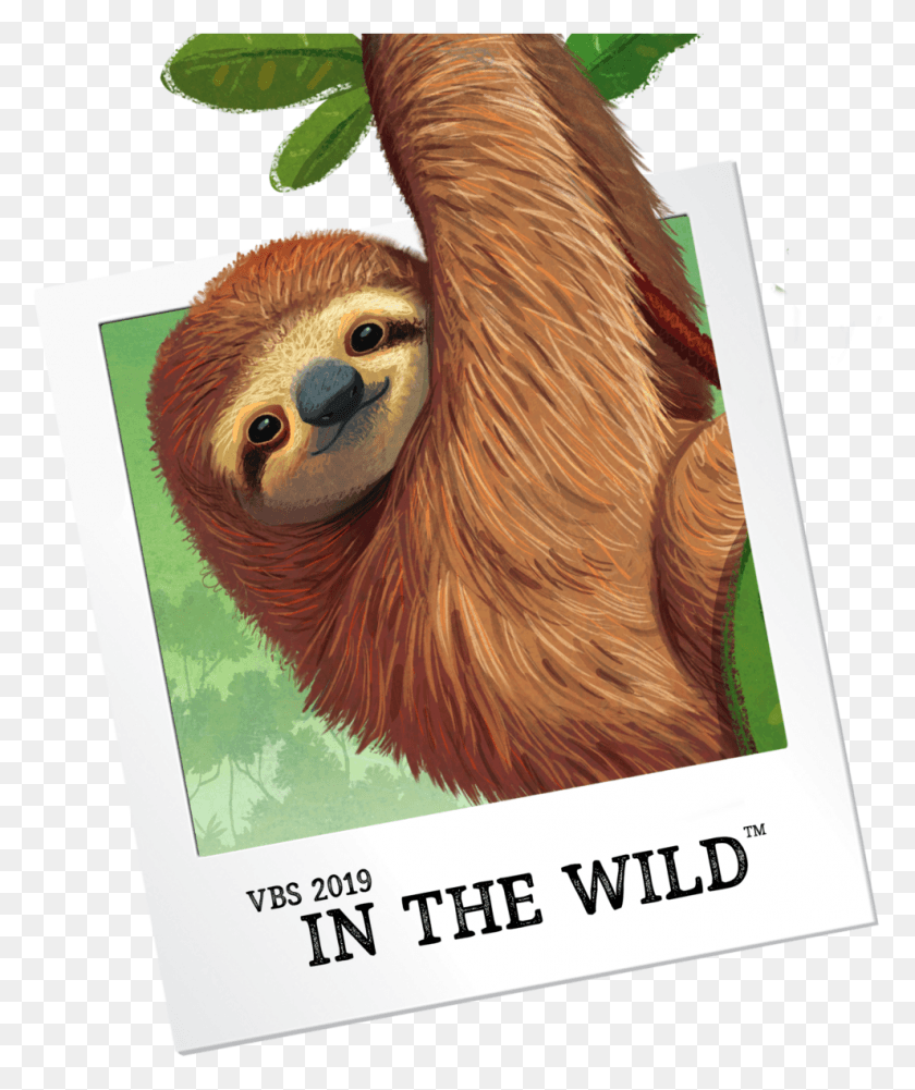989x1194 Descargar Png / Vbs Preview Events Vbs In The Wild, Pájaro, Animal Hd Png