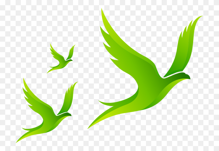 720x519 Vc Takes Flight Expanding Fledge And Re Branding, Bird, Animal, Symbol HD PNG Download