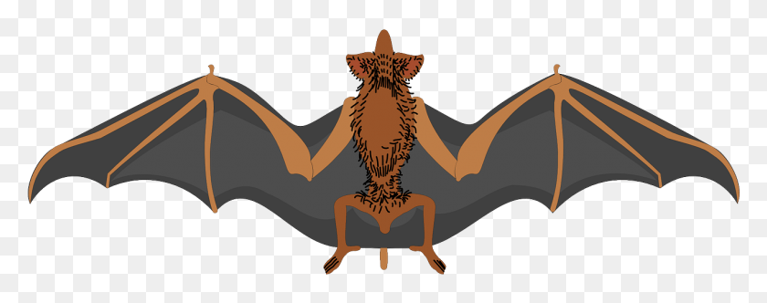 1281x448 Vector Bat Wings Spread Out, Animal, Wildlife, Mammal HD PNG Download