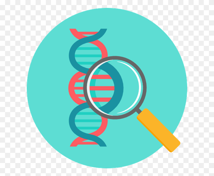 631x631 Vector Biology Creative Biology, Magnifying HD PNG Download