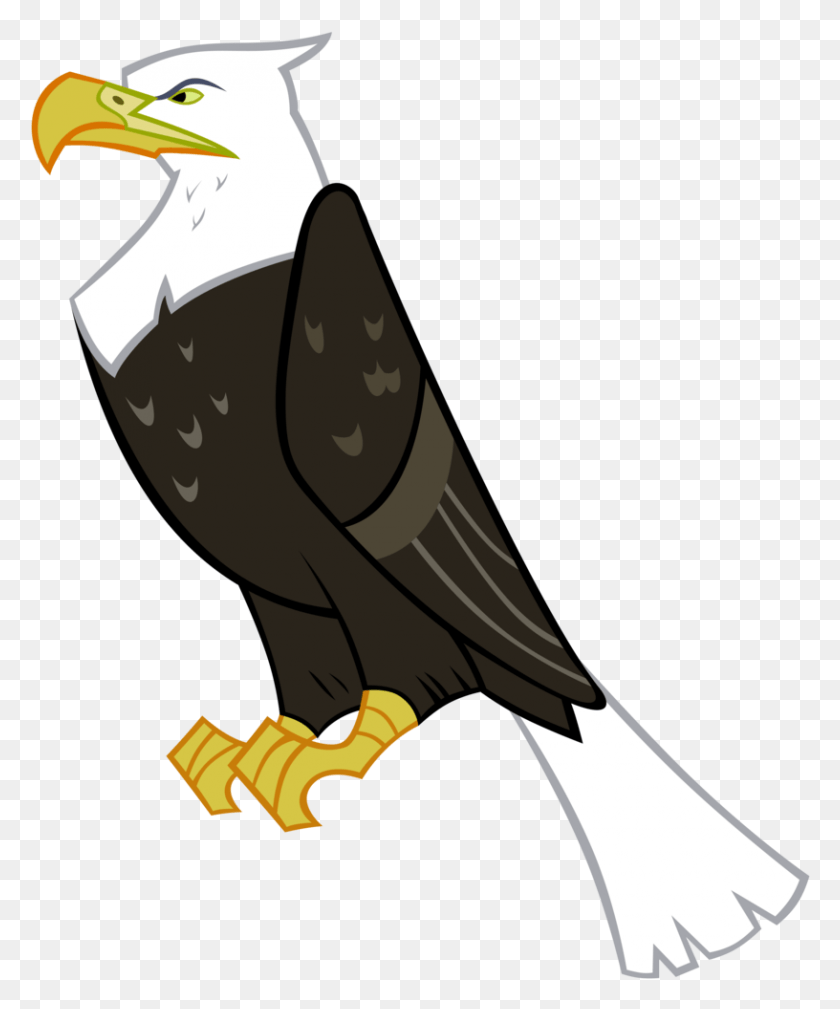 816x993 Vector Black And White Absurd Res Animal Artist Gurugrendo Cartoon Eagle Transparent Background, Bird, Bald Eagle, Beak HD PNG Download