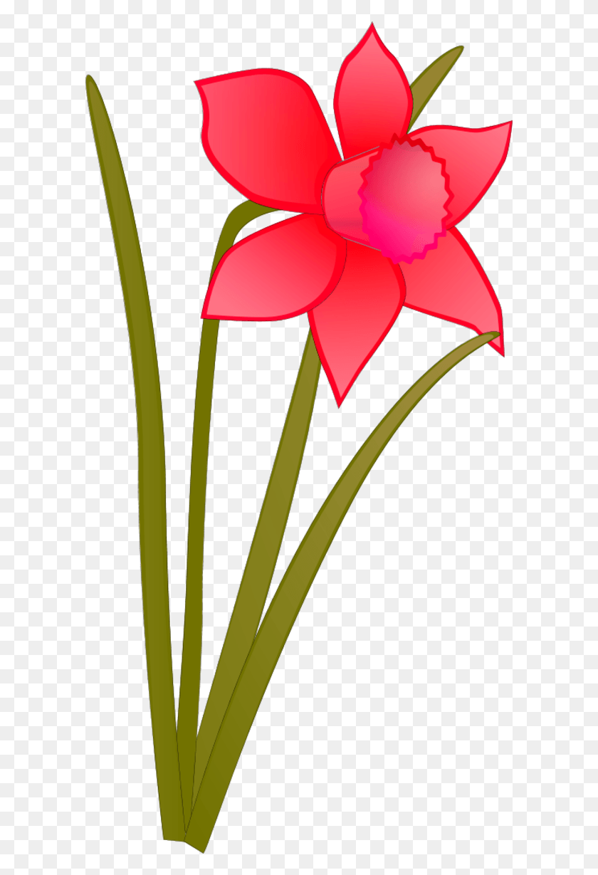 600x1169 Vector Clip Art Frames Nokia, Plant, Flower, Blossom HD PNG Download