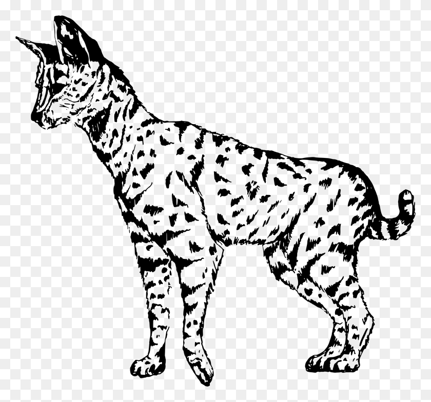 2400x2230 Vector Clipart Cat Serval Clipart, Gray, World Of Warcraft HD PNG Download