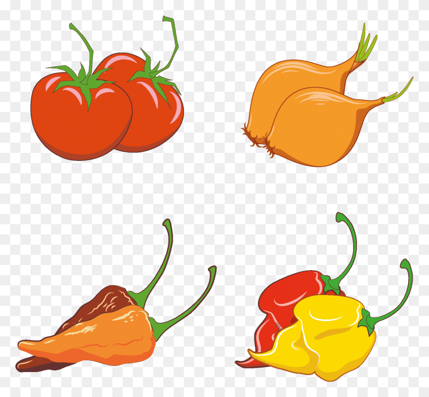 1481x1366 Vector Design By Tatianatati For This Project, Plant, Vegetable, Food HD PNG Download