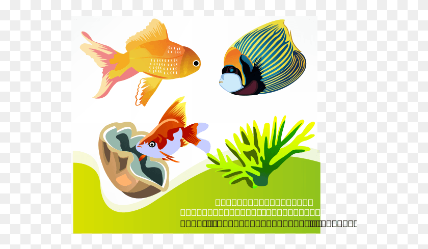 561x429 Vector Fish, Animal, Goldfish, Advertisement HD PNG Download