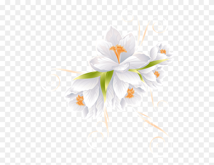 530x589 Vector Flower, Graphics, Floral Design HD PNG Download